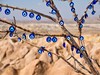 Blue eye v Kizilcukur
